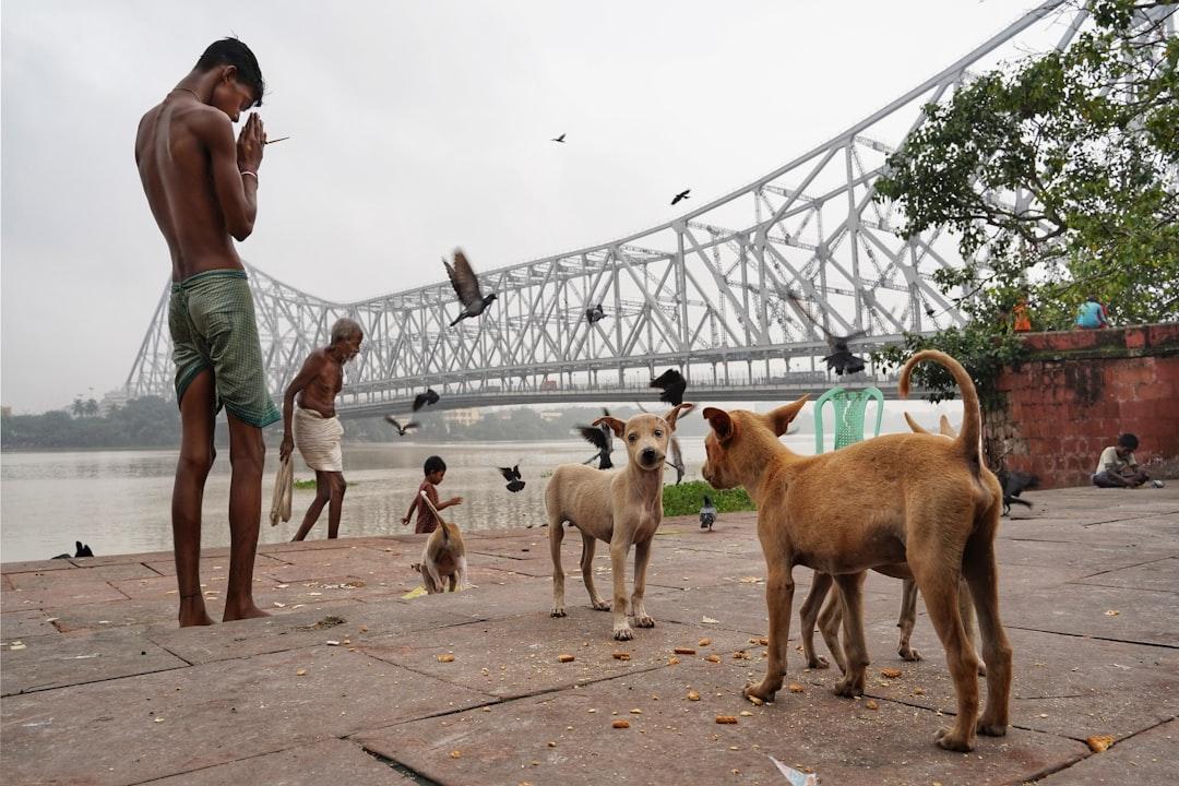 Kolkata's Council Gyms: Free Group Classes at 50+ Facilities