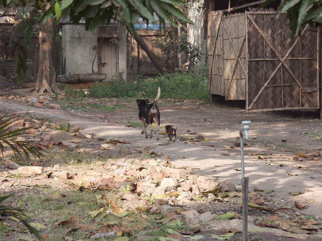 Kolkata Residents Escape Urban Heat: Navigate Heritage Parks' Entry Rules, Costs