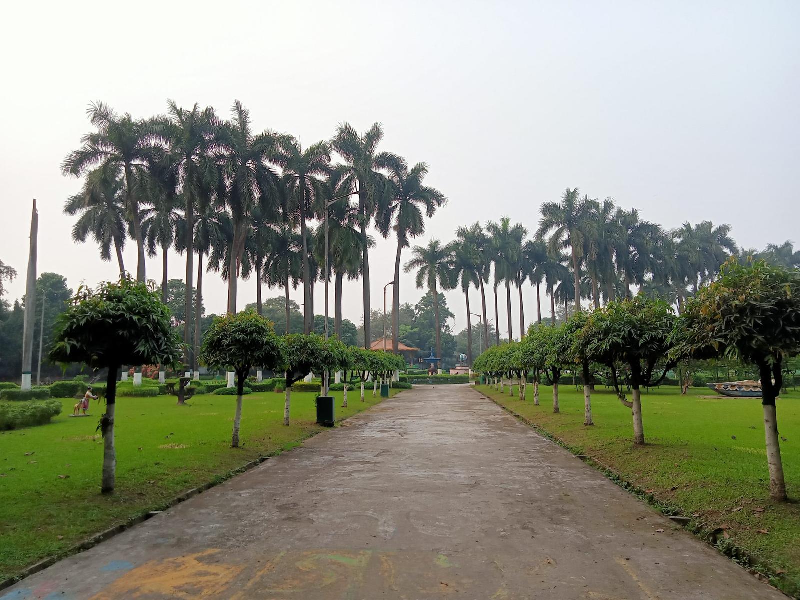 Kolkata Residents Form Walking Groups, Boost Fitness and Community Bonds
